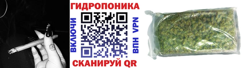 МАРИХУАНА Amnesia где купить наркотик OMG ТОР Короча